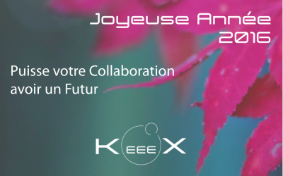 Bonne année collaborative 2016